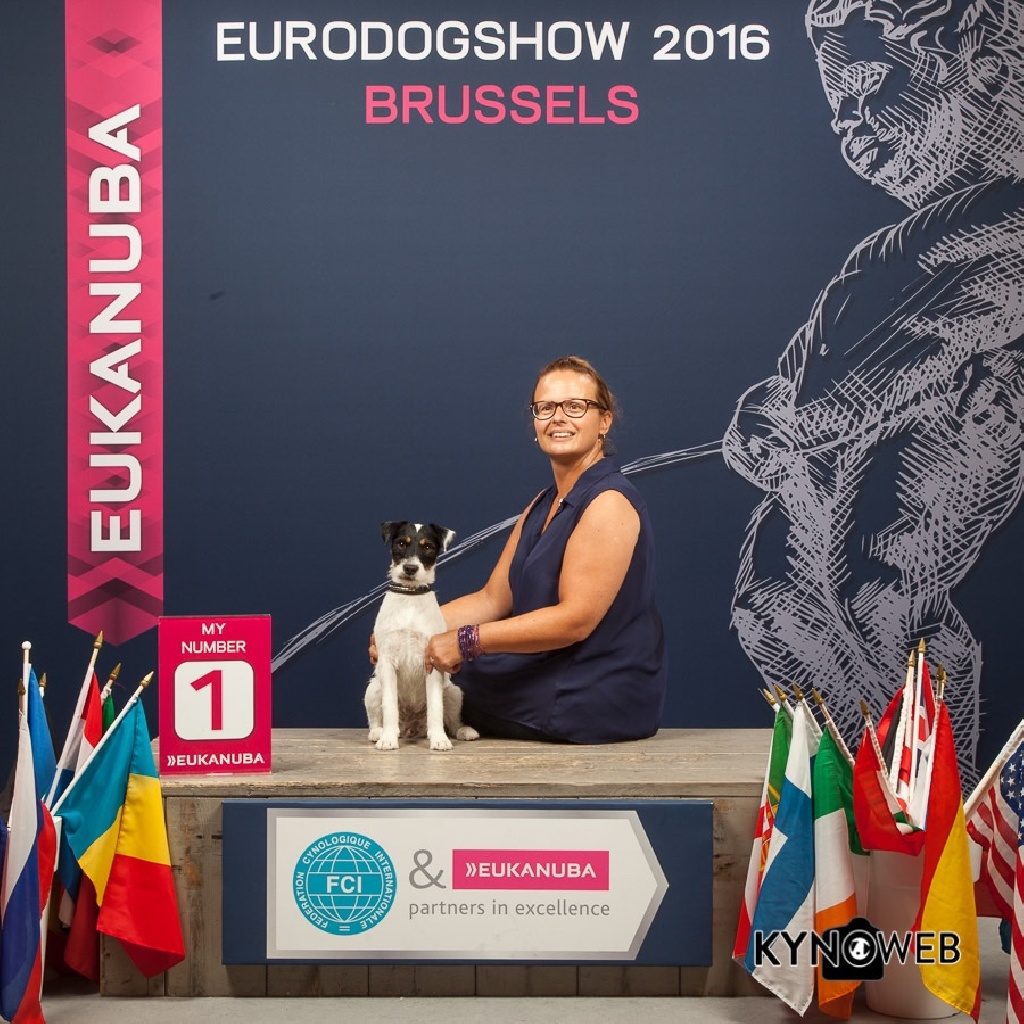 du Haras d'Euphor - European Dog Show 2016