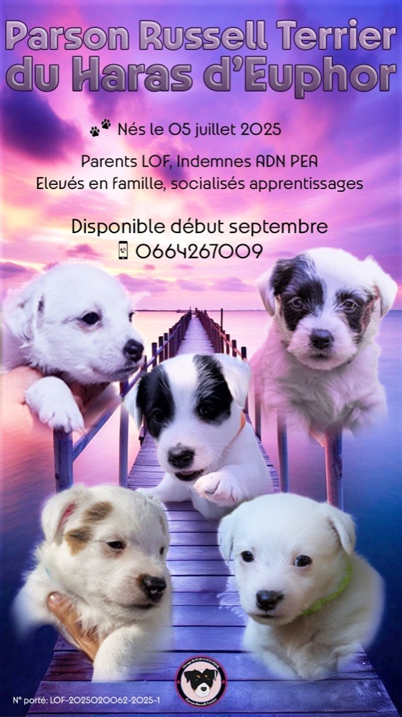 Portée 2025